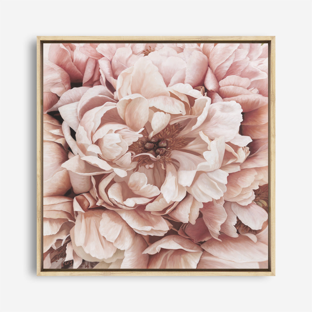 Shop Pink Petals I (Square) Canvas Print a floral themed painted framed canvas wall art print from The Print Emporium artwork collection - Buy Australian made fine art painting style stretched canvas prints for the home and your interior decor space, TPE-314-CA-40X40-NF