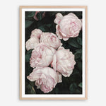 Shop Pink Roses Art Print a floral themed painted wall art print from The Print Emporium wall artwork collection - Buy Australian made fine art painting style poster and framed prints for the home and your interior decor room, TPE-002-AP