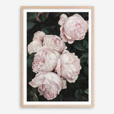 Shop Pink Roses Art Print a floral themed painted wall art print from The Print Emporium wall artwork collection - Buy Australian made fine art painting style poster and framed prints for the home and your interior decor room, TPE-002-AP