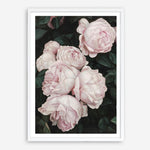 Shop Pink Roses Art Print a floral themed painted wall art print from The Print Emporium wall artwork collection - Buy Australian made fine art painting style poster and framed prints for the home and your interior decor room, TPE-002-AP