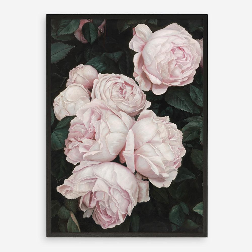 Shop Pink Roses Art Print a floral themed painted wall art print from The Print Emporium wall artwork collection - Buy Australian made fine art painting style poster and framed prints for the home and your interior decor room, TPE-002-AP