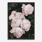 Shop Pink Roses Art Print a floral themed painted wall art print from The Print Emporium wall artwork collection - Buy Australian made fine art painting style poster and framed prints for the home and your interior decor room, TPE-002-AP
