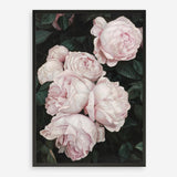 Shop Pink Roses Art Print a floral themed painted wall art print from The Print Emporium wall artwork collection - Buy Australian made fine art painting style poster and framed prints for the home and your interior decor room, TPE-002-AP