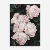 Shop Pink Roses Art Print a floral themed painted wall art print from The Print Emporium wall artwork collection - Buy Australian made fine art painting style poster and framed prints for the home and your interior decor room, TPE-002-AP