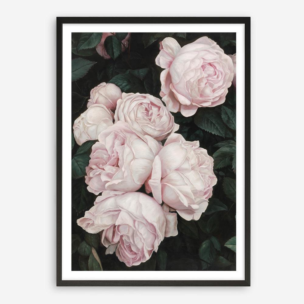 Shop Pink Roses Art Print a floral themed painted wall art print from The Print Emporium wall artwork collection - Buy Australian made fine art painting style poster and framed prints for the home and your interior decor room, TPE-002-AP