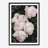 Shop Pink Roses Art Print a floral themed painted wall art print from The Print Emporium wall artwork collection - Buy Australian made fine art painting style poster and framed prints for the home and your interior decor room, TPE-002-AP