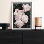 Shop Pink Roses Art Print a floral themed painted wall art print from The Print Emporium wall artwork collection - Buy Australian made fine art painting style poster and framed prints for the home and your interior decor room, TPE-002-AP