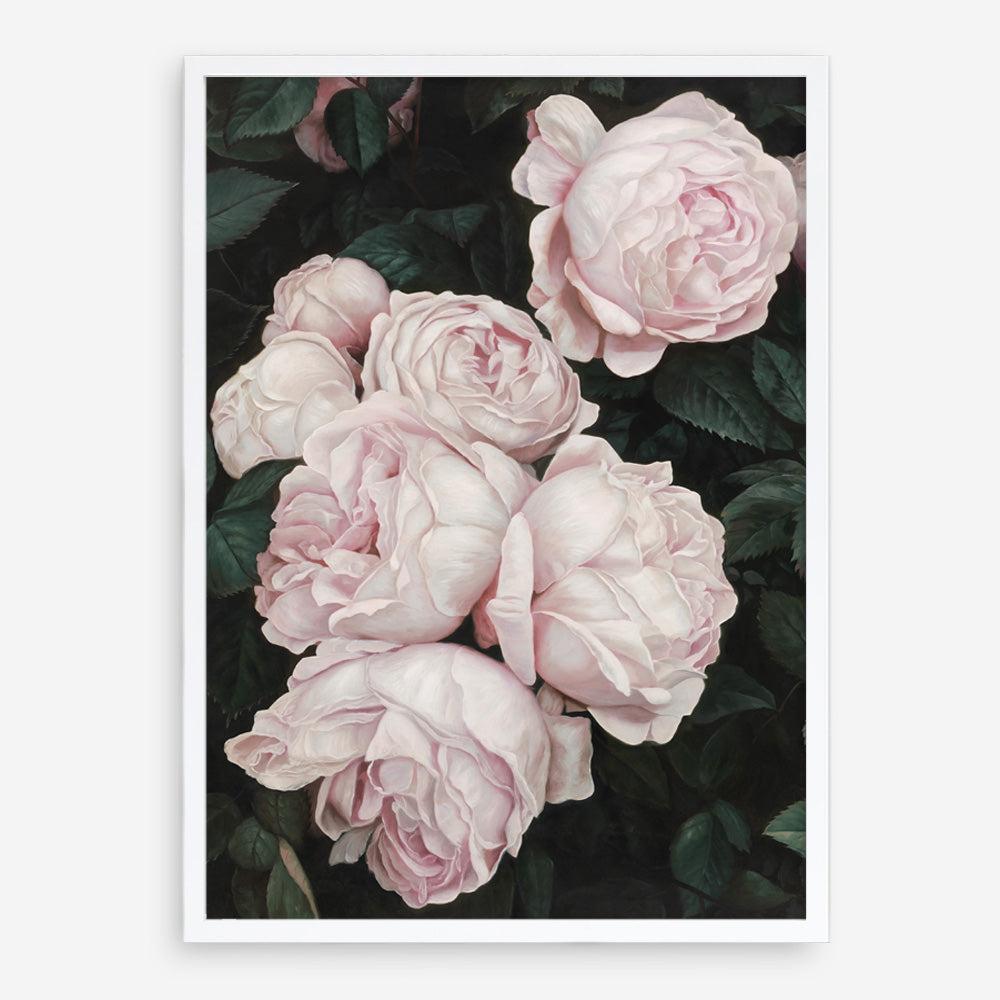 Shop Pink Roses Art Print a floral themed painted wall art print from The Print Emporium wall artwork collection - Buy Australian made fine art painting style poster and framed prints for the home and your interior decor room, TPE-002-AP