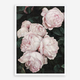 Shop Pink Roses Art Print a floral themed painted wall art print from The Print Emporium wall artwork collection - Buy Australian made fine art painting style poster and framed prints for the home and your interior decor room, TPE-002-AP