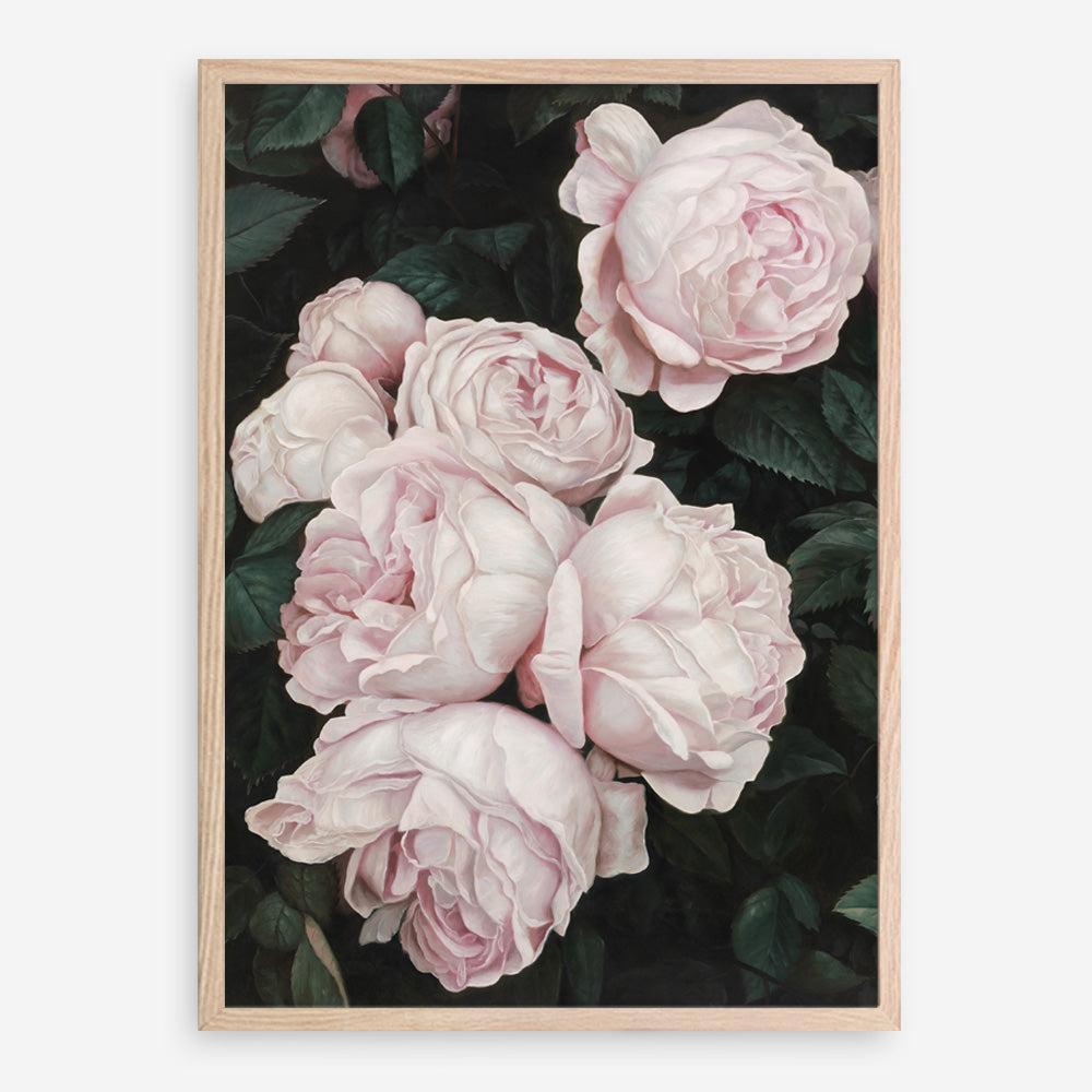 Shop Pink Roses Art Print a floral themed painted wall art print from The Print Emporium wall artwork collection - Buy Australian made fine art painting style poster and framed prints for the home and your interior decor room, TPE-002-AP