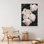 Shop Pink Roses Canvas Print a floral themed painted framed canvas wall art print from The Print Emporium artwork collection - Buy Australian made fine art painting style stretched canvas prints for the home and your interior decor space, TPE-002-CA-35X46-NF