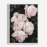 Shop Pink Roses Canvas Print a floral themed painted framed canvas wall art print from The Print Emporium artwork collection - Buy Australian made fine art painting style stretched canvas prints for the home and your interior decor space, TPE-002-CA-35X46-NF
