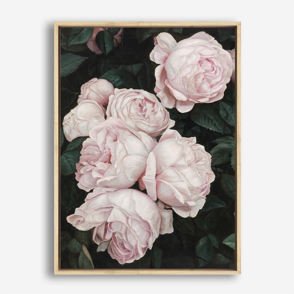 Shop Pink Roses Canvas Print a floral themed painted framed canvas wall art print from The Print Emporium artwork collection - Buy Australian made fine art painting style stretched canvas prints for the home and your interior decor space, TPE-002-CA-35X46-NF