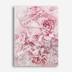 Shop Pretty Peonies Canvas Print a floral themed painted framed canvas wall art print from The Print Emporium artwork collection - Buy Australian made fine art painting style stretched canvas prints for the home and your interior decor space, TPE-379-CA-35X46-NF