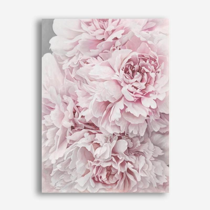 Shop Pretty Peonies II Canvas Print a floral themed painted framed canvas wall art print from The Print Emporium artwork collection - Buy Australian made fine art painting style stretched canvas prints for the home and your interior decor space, TPE-386-CA-35X46-NF