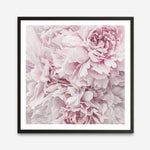 Shop Pretty Peonies II (Square) Art Print a floral themed painted wall art print from The Print Emporium wall artwork collection - Buy Australian made fine art painting style poster and framed prints for the home and your interior decor room, TPE-387-AP