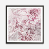 Shop Pretty Peonies II (Square) Art Print a floral themed painted wall art print from The Print Emporium wall artwork collection - Buy Australian made fine art painting style poster and framed prints for the home and your interior decor room, TPE-387-AP