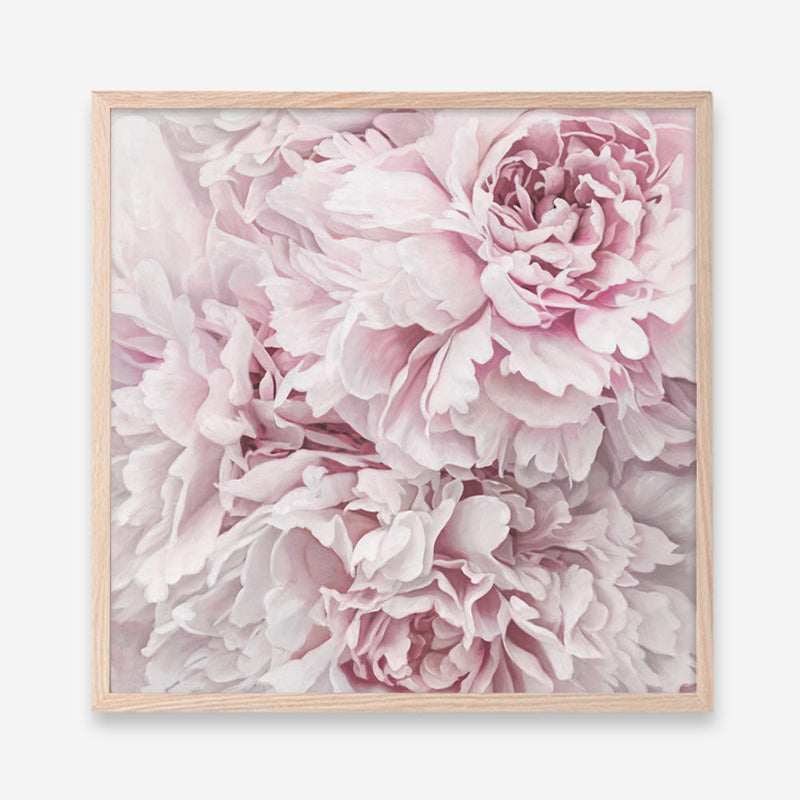 Shop Pretty Peonies II (Square) Art Print a floral themed painted wall art print from The Print Emporium wall artwork collection - Buy Australian made fine art painting style poster and framed prints for the home and your interior decor room, TPE-387-AP