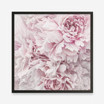 Shop Pretty Peonies II (Square) Art Print a floral themed painted wall art print from The Print Emporium wall artwork collection - Buy Australian made fine art painting style poster and framed prints for the home and your interior decor room, TPE-387-AP