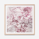 Shop Pretty Peonies II (Square) Art Print a floral themed painted wall art print from The Print Emporium wall artwork collection - Buy Australian made fine art painting style poster and framed prints for the home and your interior decor room, TPE-387-AP
