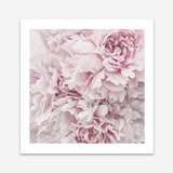 Shop Pretty Peonies II (Square) Art Print a floral themed painted wall art print from The Print Emporium wall artwork collection - Buy Australian made fine art painting style poster and framed prints for the home and your interior decor room, TPE-387-AP