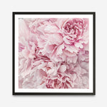 Shop Pretty Peonies (Square) Art Print a floral themed painted wall art print from The Print Emporium wall artwork collection - Buy Australian made fine art painting style poster and framed prints for the home and your interior decor room, TPE-380-AP