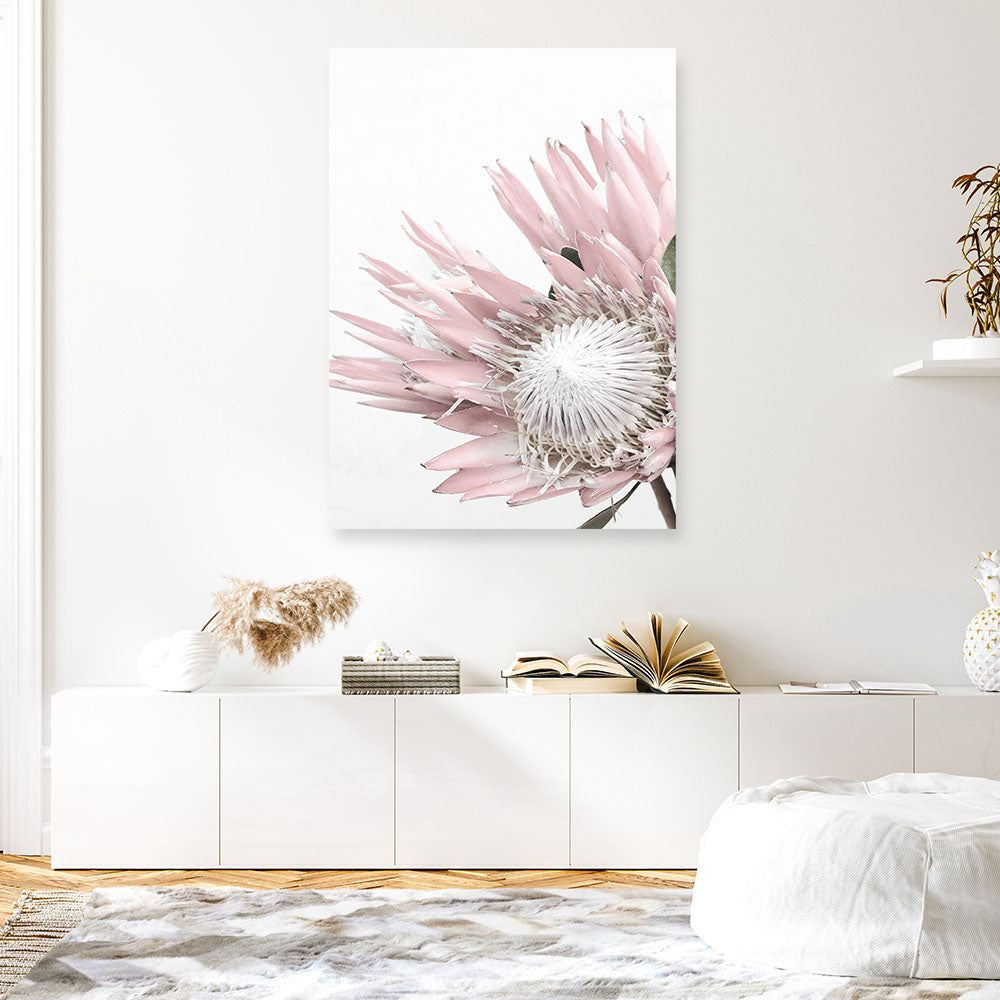 Shop Protea 1 Photo Canvas Print a floral themed photography framed stretched canvas print from The Print Emporium wall artwork collection - Buy Australian made prints for the home and your interior decor space, TPE-300-CA-35X46-NF