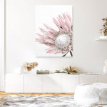 Shop Protea 1 Photo Canvas Print a floral themed photography framed stretched canvas print from The Print Emporium wall artwork collection - Buy Australian made prints for the home and your interior decor space, TPE-300-CA-35X46-NF