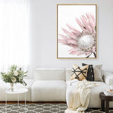 Shop Protea 1 Photo Canvas Print a floral themed photography framed stretched canvas print from The Print Emporium wall artwork collection - Buy Australian made prints for the home and your interior decor space, TPE-300-CA-35X46-NF
