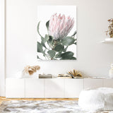 Shop Protea 3 Photo Canvas Print a floral themed photography framed stretched canvas print from The Print Emporium wall artwork collection - Buy Australian made prints for the home and your interior decor space, TPE-302-CA-35X46-NF
