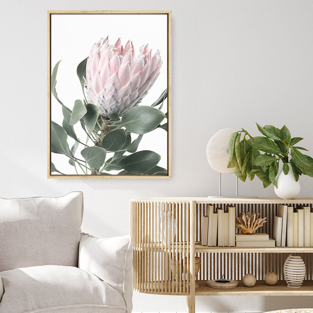 Shop Protea 3 Photo Canvas Print a floral themed photography framed stretched canvas print from The Print Emporium wall artwork collection - Buy Australian made prints for the home and your interior decor space, TPE-302-CA-35X46-NF