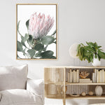 Shop Protea 3 Photo Canvas Print a floral themed photography framed stretched canvas print from The Print Emporium wall artwork collection - Buy Australian made prints for the home and your interior decor space, TPE-302-CA-35X46-NF