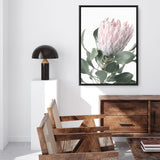 Shop Protea 3 Photo Canvas Print a floral themed photography framed stretched canvas print from The Print Emporium wall artwork collection - Buy Australian made prints for the home and your interior decor space, TPE-302-CA-35X46-NF