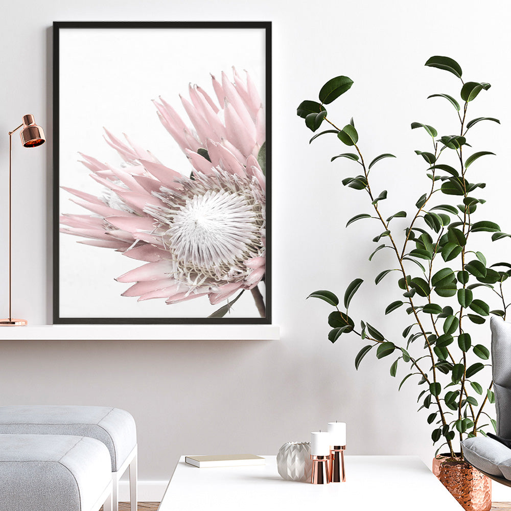 Shop Protea No. 1 Photo Art Print a floral themed photography wall art print from The Print Emporium wall artwork collection - Buy Australian made fine art poster and framed prints for the home and your interior decor room, TPE-300-AP