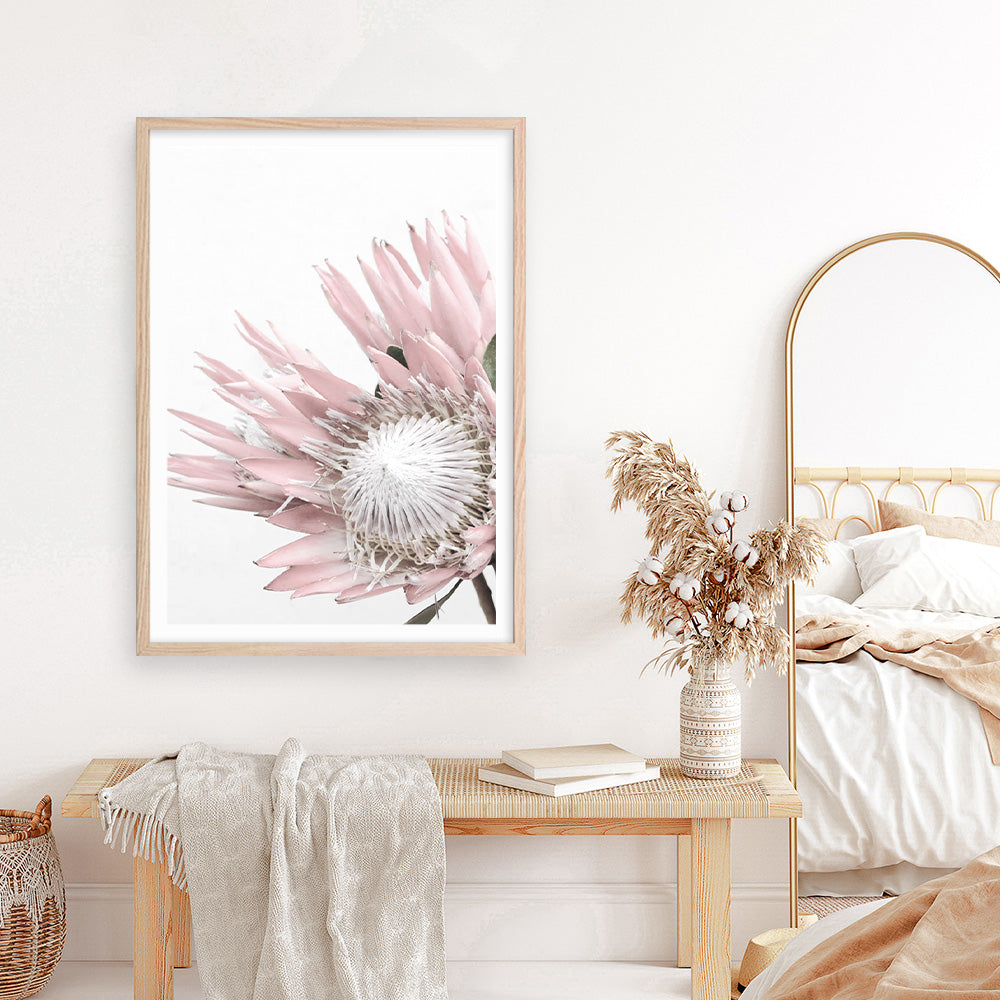 Shop Protea No. 1 Photo Art Print a floral themed photography wall art print from The Print Emporium wall artwork collection - Buy Australian made fine art poster and framed prints for the home and your interior decor room, TPE-300-AP