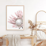 Shop Protea No. 1 Photo Art Print a floral themed photography wall art print from The Print Emporium wall artwork collection - Buy Australian made fine art poster and framed prints for the home and your interior decor room, TPE-300-AP
