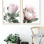Shop Protea No. 2 Photo Art Print a floral themed photography wall art print from The Print Emporium wall artwork collection - Buy Australian made fine art poster and framed prints for the home and your interior decor room, TPE-301-AP
