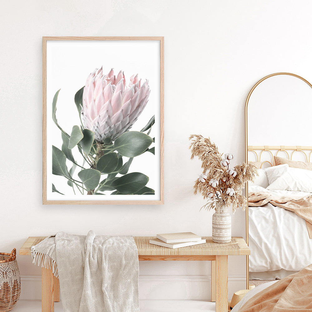 Shop Protea No. 3 Photo Art Print a floral themed photography wall art print from The Print Emporium wall artwork collection - Buy Australian made fine art poster and framed prints for the home and your interior decor room, TPE-302-AP