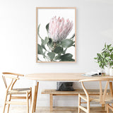 Shop Protea No. 3 Photo Art Print a floral themed photography wall art print from The Print Emporium wall artwork collection - Buy Australian made fine art poster and framed prints for the home and your interior decor room, TPE-302-AP