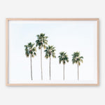 Shop Row Of Palms Photo Art Print a coastal themed photography wall art print from The Print Emporium wall artwork collection - Buy Australian made fine art poster and framed prints for the home and your interior decor, TPE-1248-AP