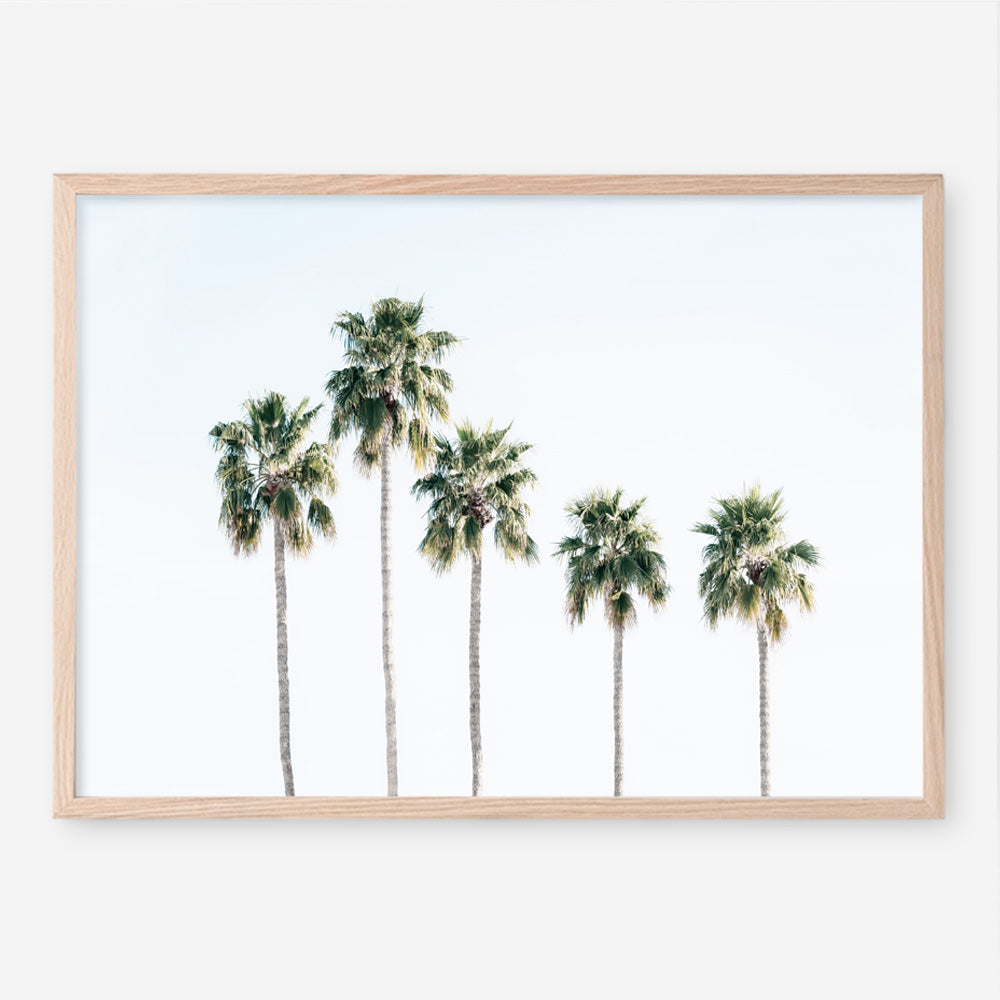 Shop Row Of Palms Photo Art Print a coastal themed photography wall art print from The Print Emporium wall artwork collection - Buy Australian made fine art poster and framed prints for the home and your interior decor, TPE-1248-AP
