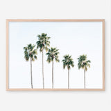 Shop Row Of Palms Photo Art Print a coastal themed photography wall art print from The Print Emporium wall artwork collection - Buy Australian made fine art poster and framed prints for the home and your interior decor, TPE-1248-AP