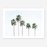 Shop Row Of Palms Photo Art Print a coastal themed photography wall art print from The Print Emporium wall artwork collection - Buy Australian made fine art poster and framed prints for the home and your interior decor, TPE-1248-AP