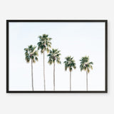 Shop Row Of Palms Photo Art Print a coastal themed photography wall art print from The Print Emporium wall artwork collection - Buy Australian made fine art poster and framed prints for the home and your interior decor, TPE-1248-AP