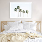 Shop Row Of Palms Photo Art Print a coastal themed photography wall art print from The Print Emporium wall artwork collection - Buy Australian made fine art poster and framed prints for the home and your interior decor, TPE-1248-AP