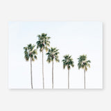 Shop Row Of Palms Photo Art Print a coastal themed photography wall art print from The Print Emporium wall artwork collection - Buy Australian made fine art poster and framed prints for the home and your interior decor, TPE-1248-AP