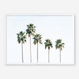 Shop Row Of Palms Photo Art Print a coastal themed photography wall art print from The Print Emporium wall artwork collection - Buy Australian made fine art poster and framed prints for the home and your interior decor, TPE-1248-AP