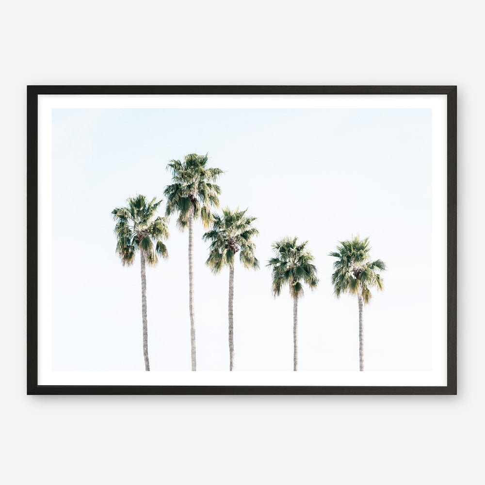 Shop Row Of Palms Photo Art Print a coastal themed photography wall art print from The Print Emporium wall artwork collection - Buy Australian made fine art poster and framed prints for the home and your interior decor, TPE-1248-AP