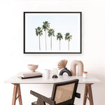 Shop Row Of Palms Photo Art Print a coastal themed photography wall art print from The Print Emporium wall artwork collection - Buy Australian made fine art poster and framed prints for the home and your interior decor, TPE-1248-AP