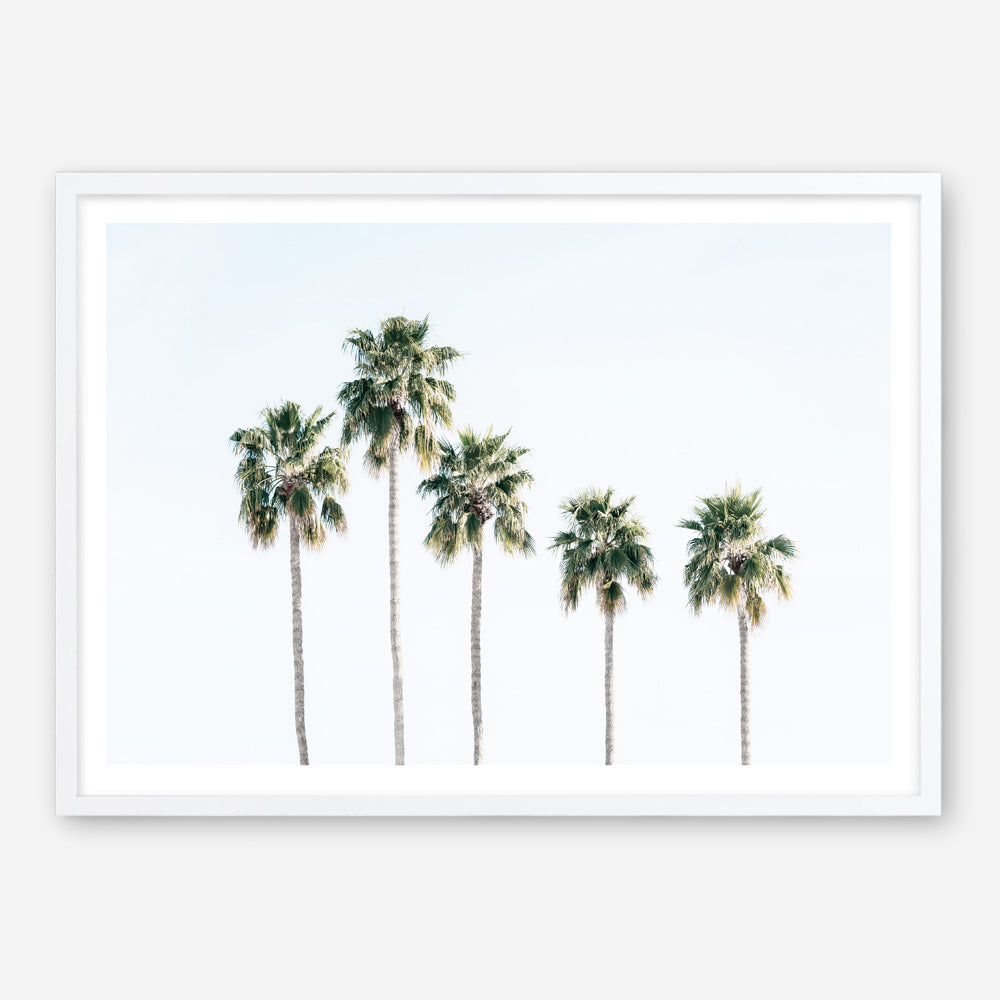 Shop Row Of Palms Photo Art Print a coastal themed photography wall art print from The Print Emporium wall artwork collection - Buy Australian made fine art poster and framed prints for the home and your interior decor, TPE-1248-AP